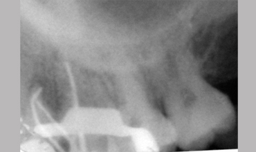 Best dentists in Anand
                            